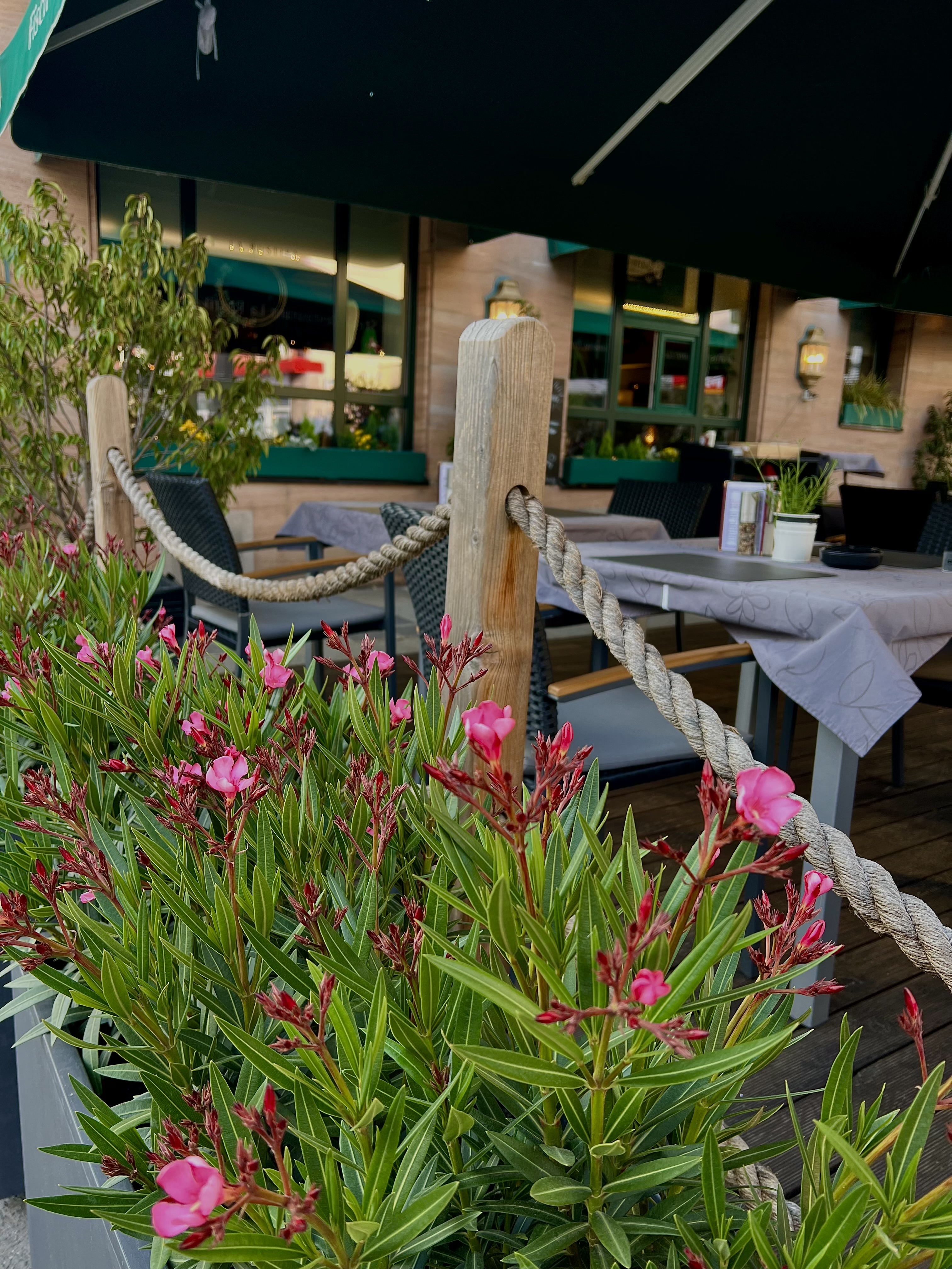Outdoor area